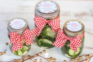 https://cdn-abdkb.nitrocdn.com/KugOVKYlJmuoYoVMtEwgZQBLkDqywtgZ/assets/images/optimized/rev-cde3e85/wp-content/uploads/2018/11/easy-homemade-pickles-for-christmas-gifts-27-300x200.jpg